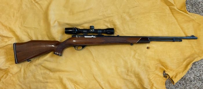 Weatherby Mark XXII 22 cal with Bushnell 2-8 scope