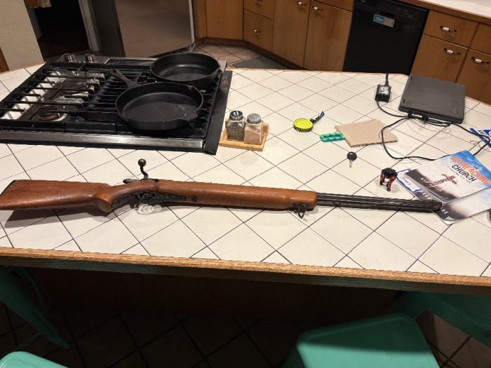 mossberg and sons 46b 22 long rifle