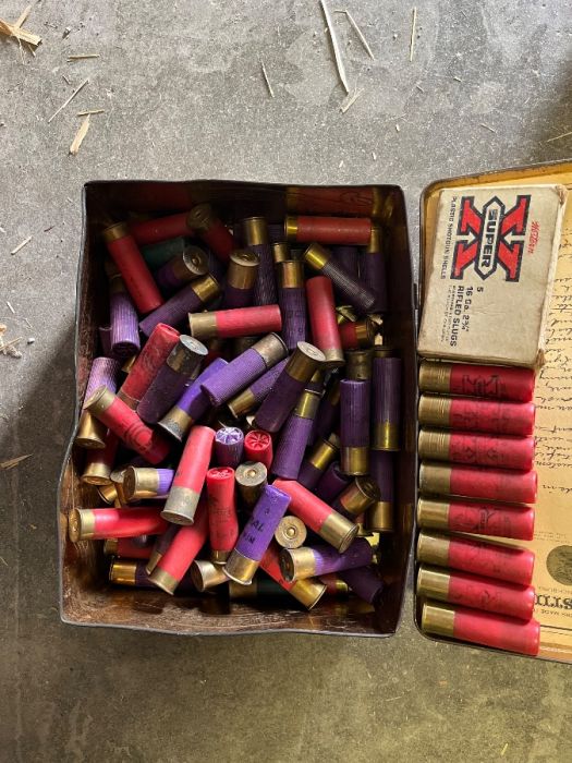 16 gauge assorted loads