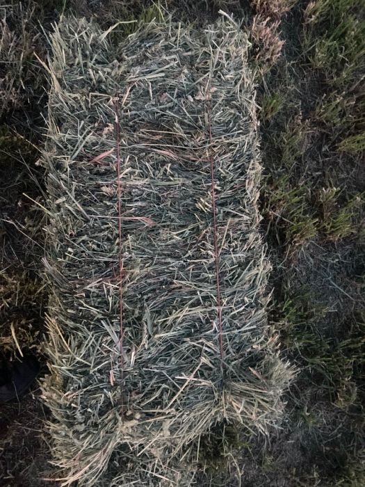 Hay alfalfa/orchard grass $5