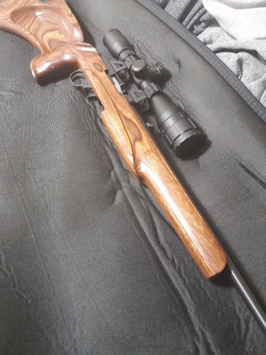 Ruger 10/22 L.R. with custom stock