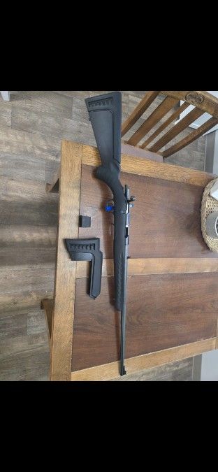 Ruger american 22lr