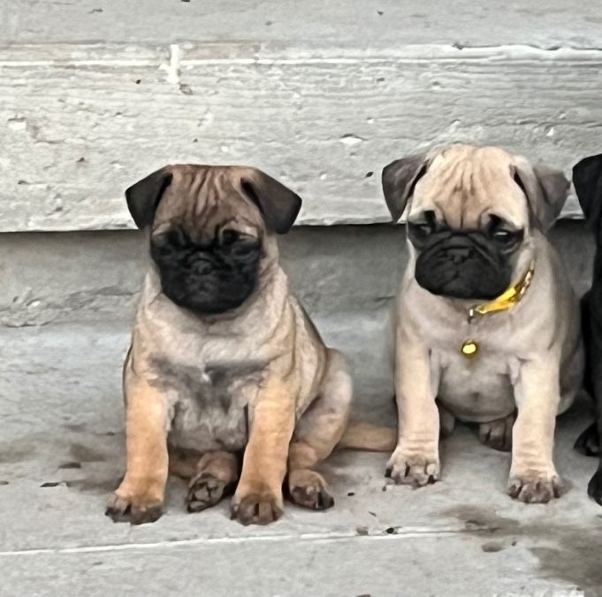 looking so cute 