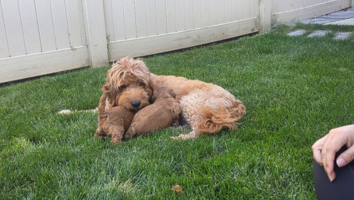 She's a good mama!