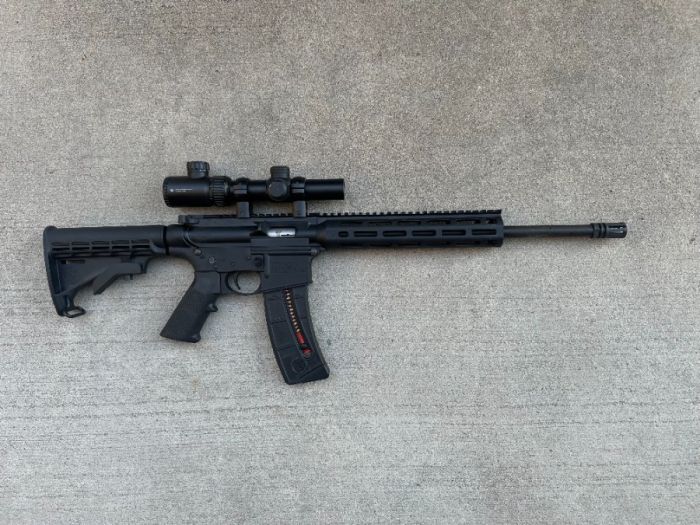 Smith and Wesson AR 15-22