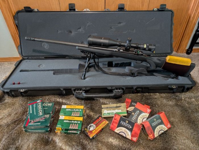 Savage Model 10 FCP-K .308