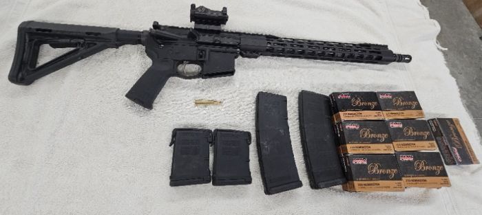 Palmetto State Armory AR15