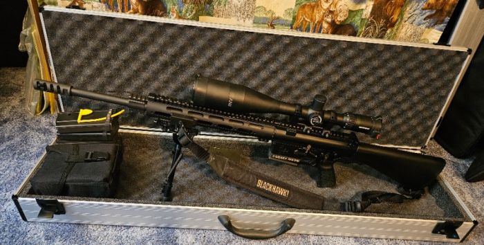 Armalite AR-10, 7.62x51 / 308 Winchester