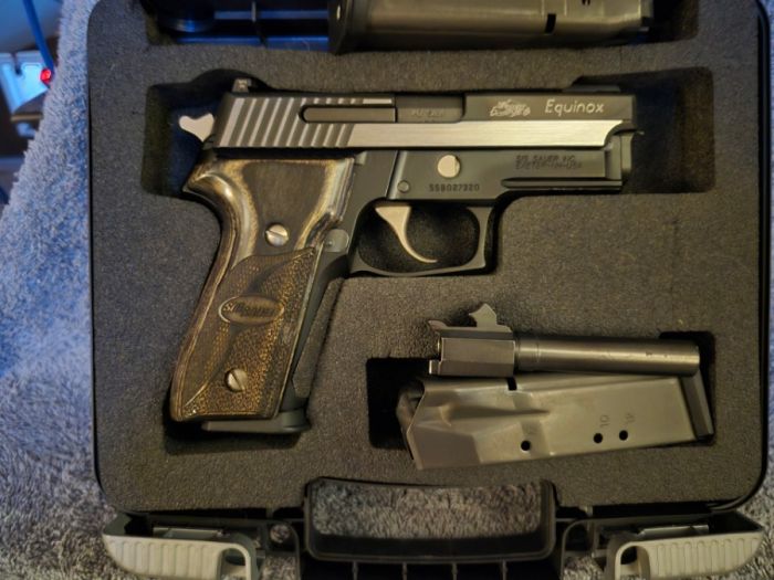 SIG SAUER P229