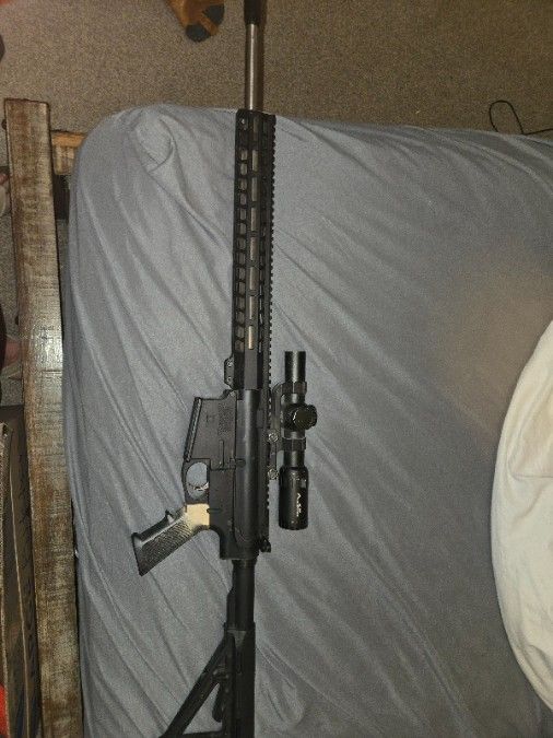 Palmetto 308 ar10