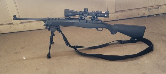 Ruger Mini-14 complete set-up, ready for zombies!