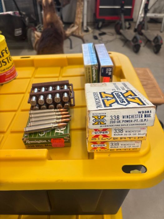 Misc 338 win mag ammo