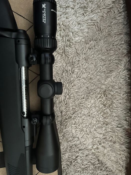 300 Winmag Savage 110