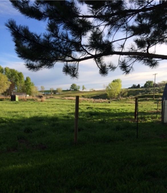 Country home on 7 acres for sale