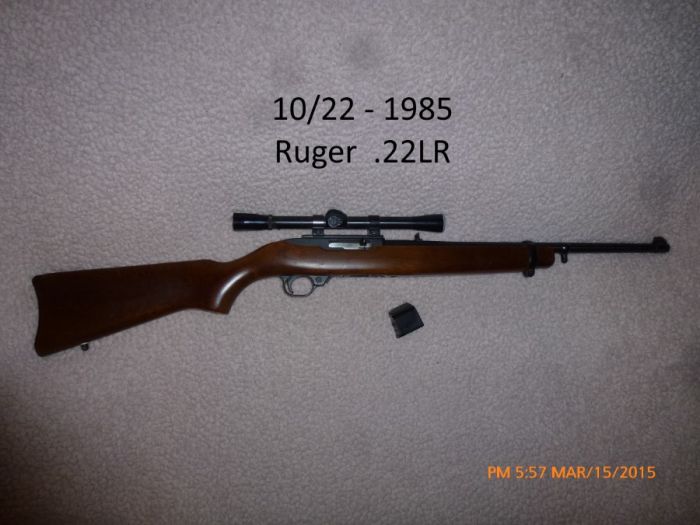 Ruger 10/22 w/ Weaver Scope