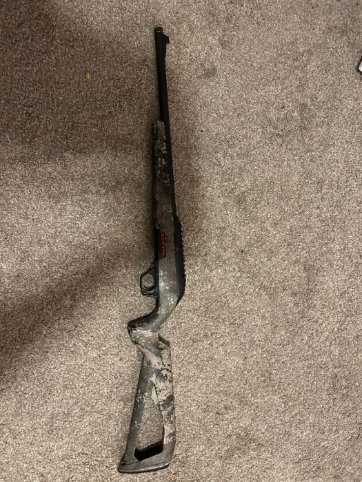 Winchester Wildcat 22