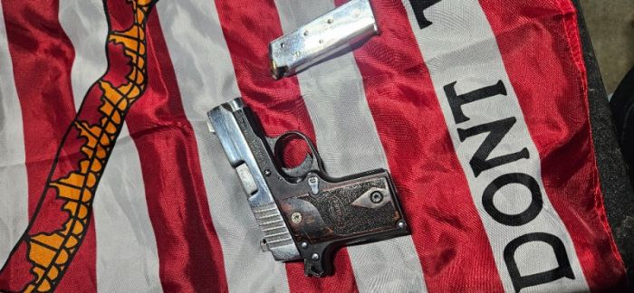 Sig Sauer 1911 Concealed Carry .380