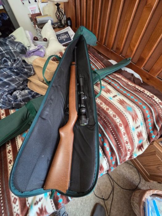 Ruger 1022 With Scope
