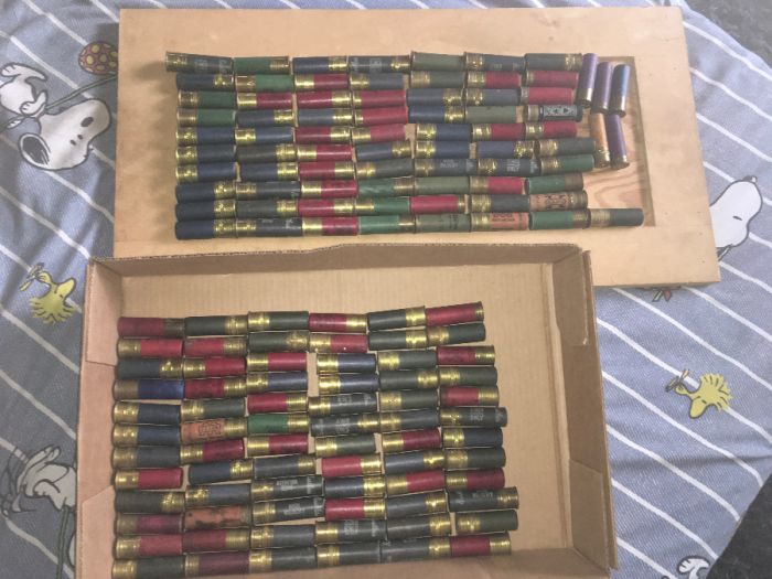 12 Gauge Shotgun Shells Lead Bird Shot 140+