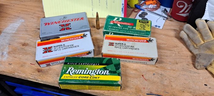 308 ammo