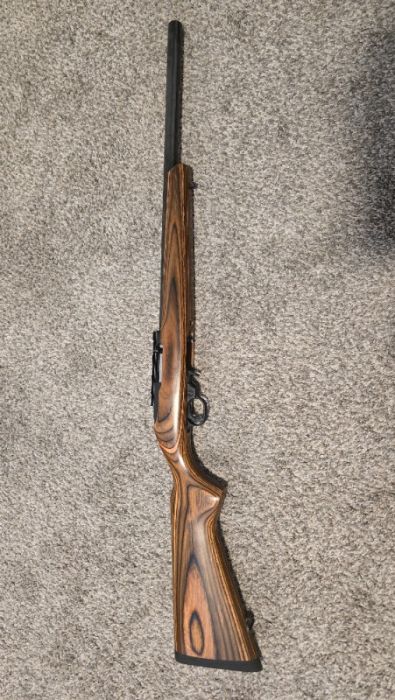 Ruger 10/22 Heavy Barrel