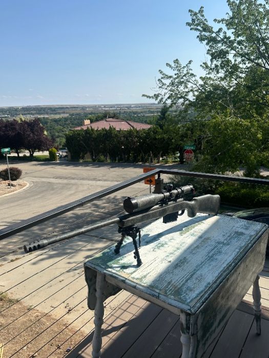 300 win mag Remington 700 Long Range