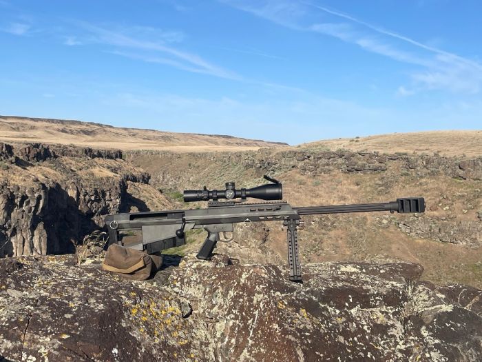 Barrett M95 50 BMG 