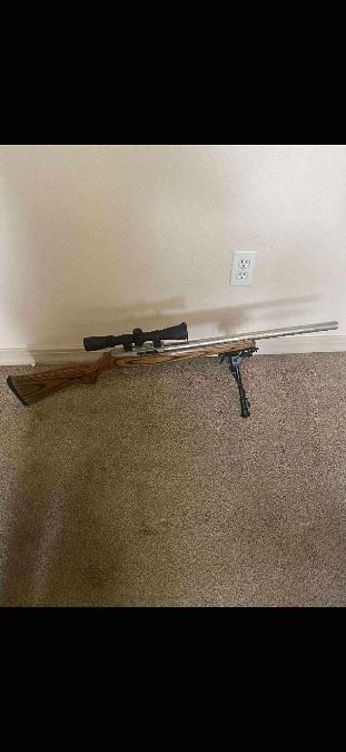 Ruger 10/22