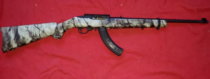 Ruger 10/22 .22 lr 