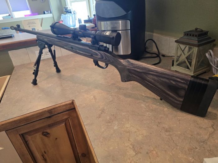 Ruger Scout .308