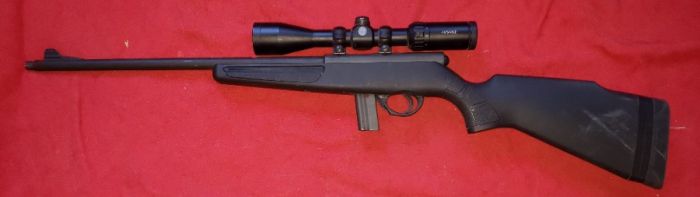 Rock island armory .22 lr