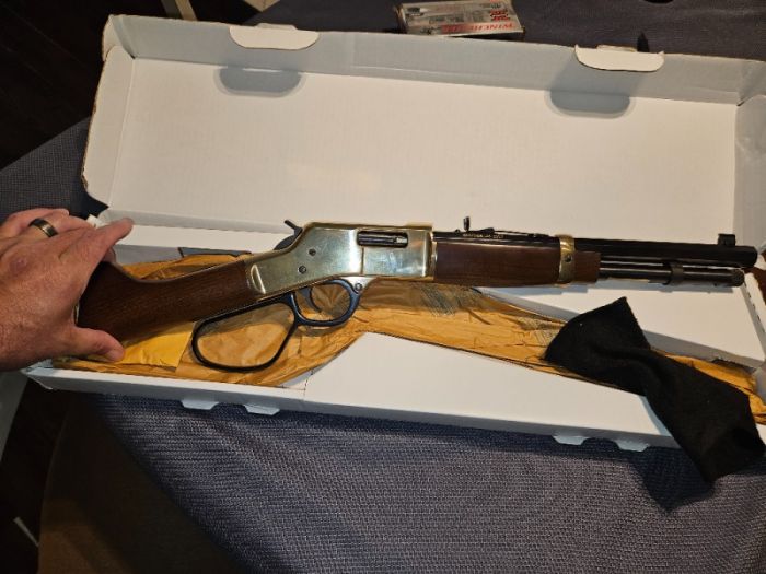 Henrys golden big boy mares leg colt 45