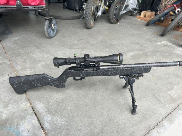 Ruger 10-22  Carbon