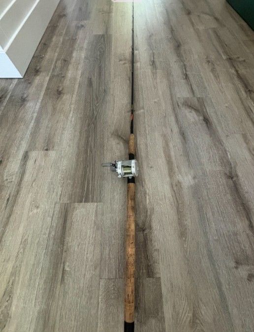 Shakespeare intrepid titanium rod w/ Abu Garcia 55