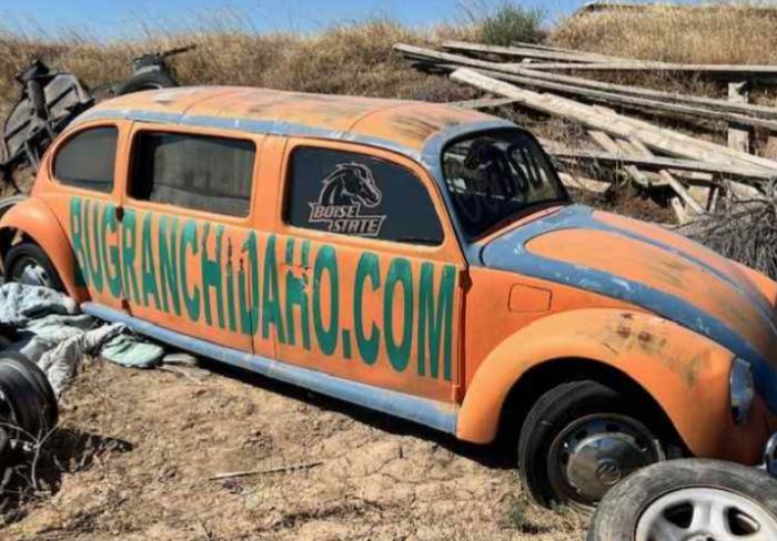 Bug Ranch Live Liquidation Auction