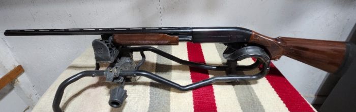 Remington 20ga Wingmaster 