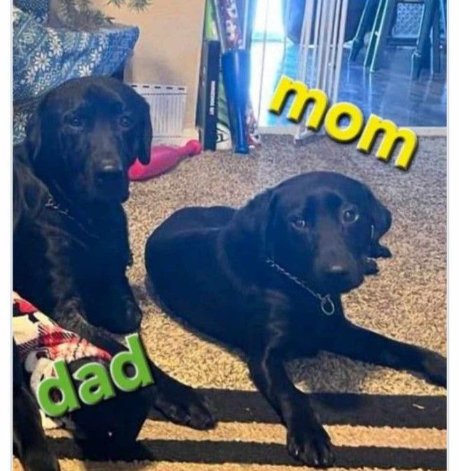 Dad on the left. Mom on the right