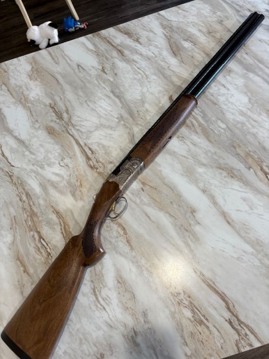 Beretta Silver Pigeon 1