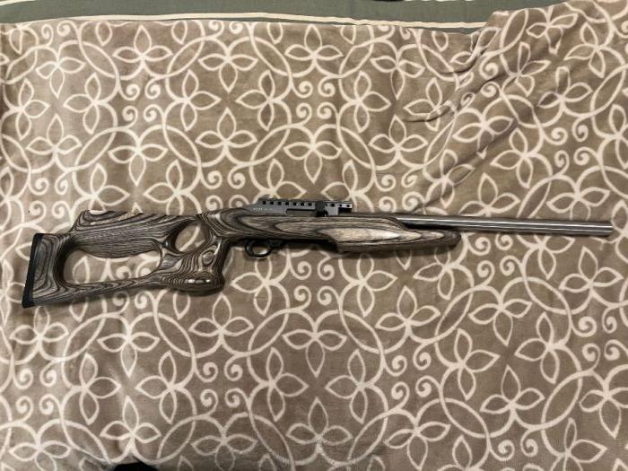 Magnum Research .22 WMR 10/22