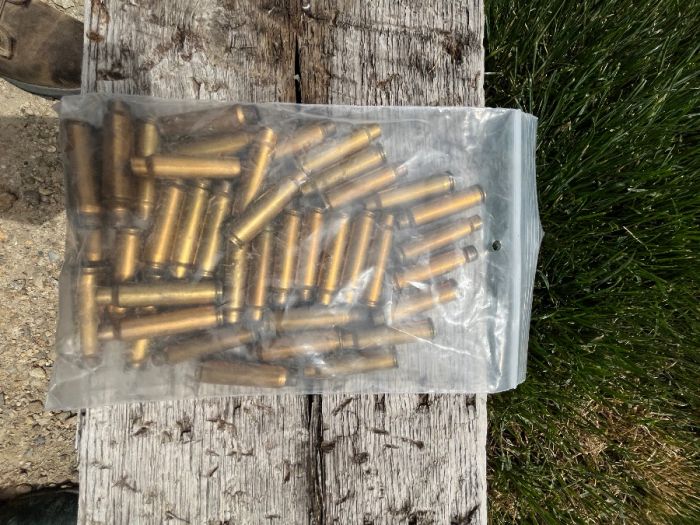 .300 Savage Casings