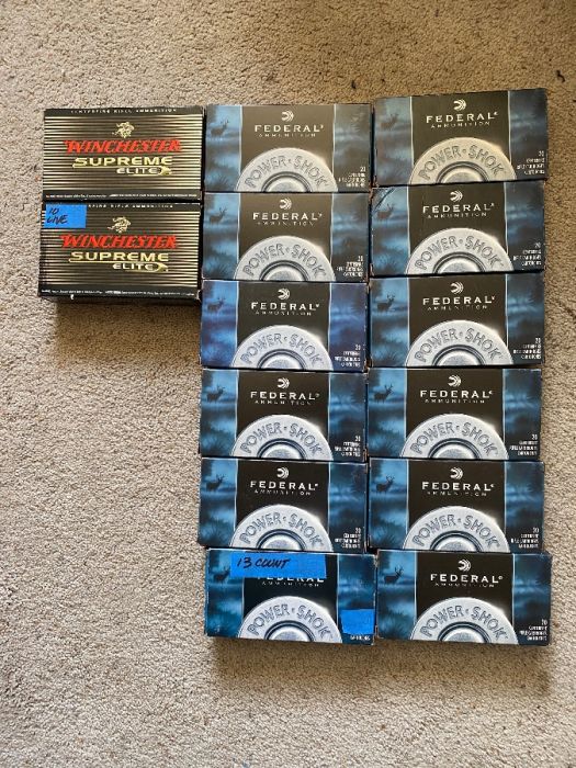 300 Winchester Magnum Ammo 263 rounds total