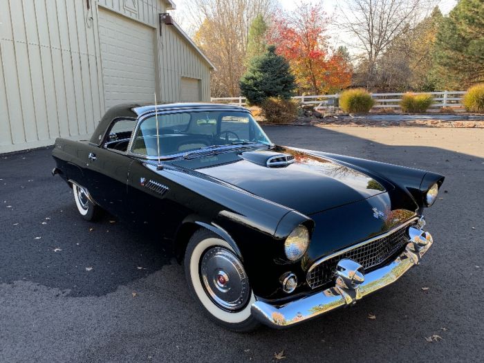 1955 Thunderbird 
