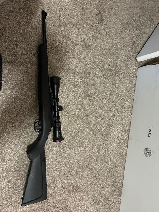 Ruger American 17 HMR