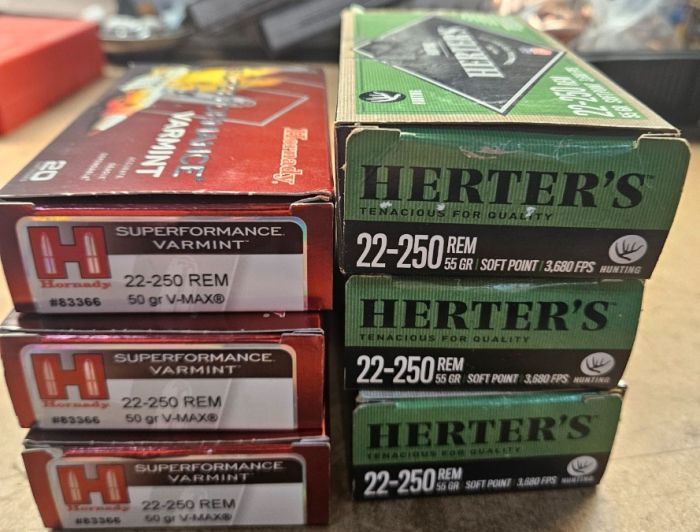 22-250 Ammo