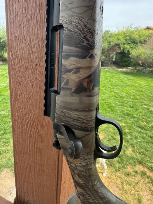 Remington 700 300 win mag