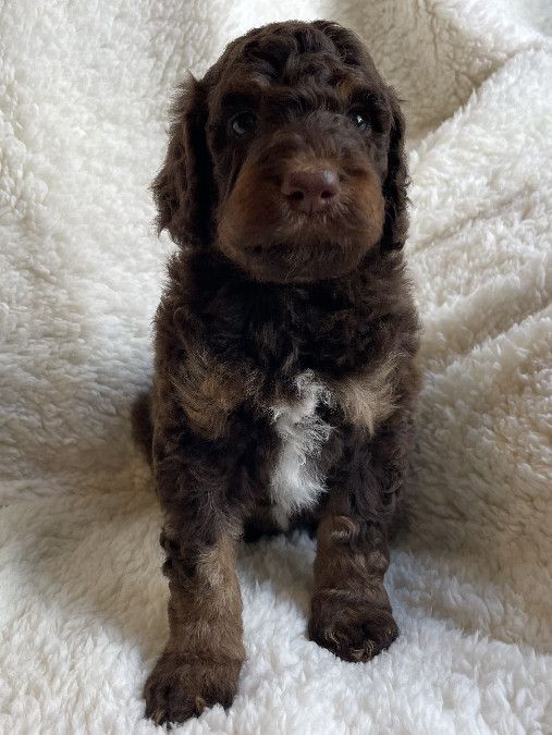 Frederick - $2,000
