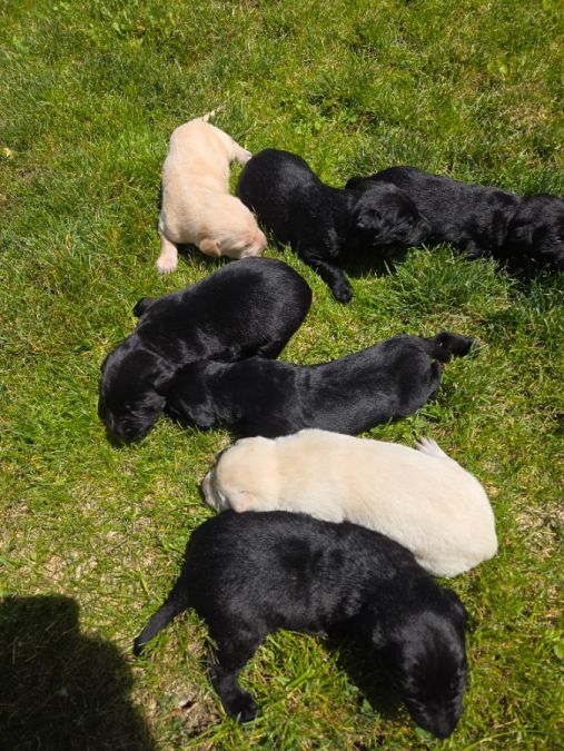 Enjoying the sun