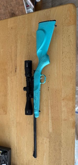 Cricket .22 w/ Scope