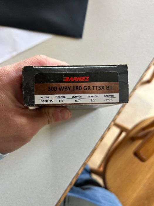 300 WBY 180 GR TTSX BT 