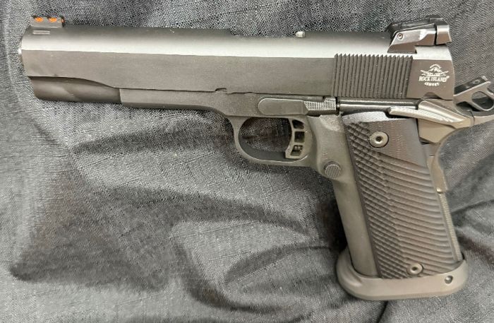 RIA 10MM